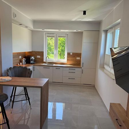 Apartament Nad Barycza Milicz Kültér fotó